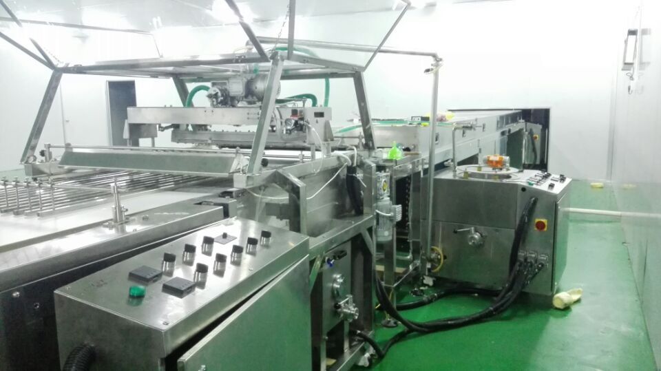 Factory price automatic industrial cookies chocolate decorating molding machine