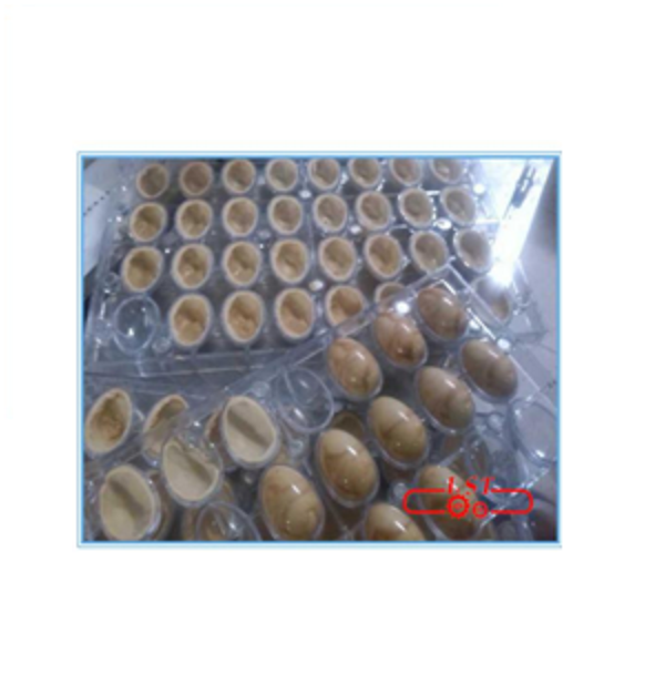 Automatic hollow chocolate apples peaches shaping machine hollow chocolate spinning machine